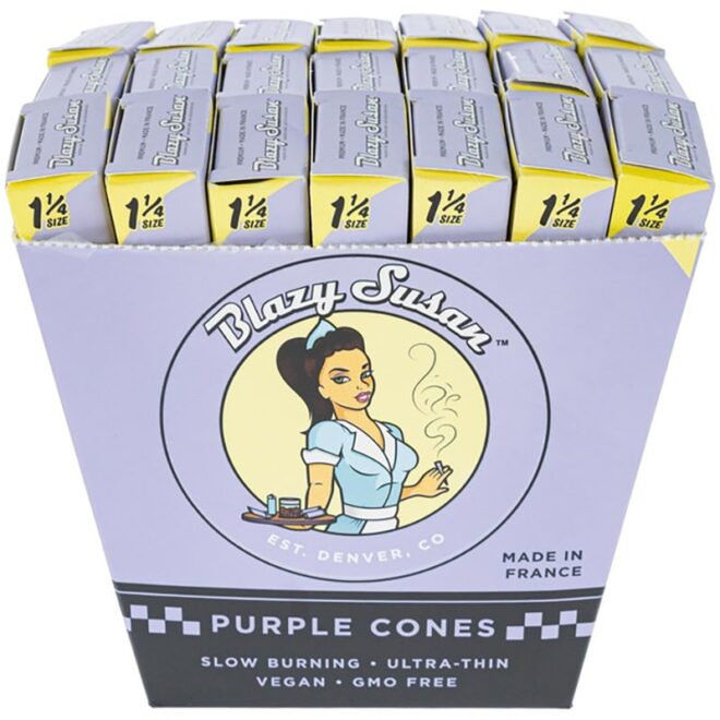 Box of 1¼ Purple Cones by Blazy Susan sold by Simple Garden.