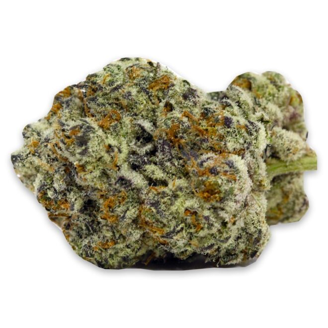 Oreo Cookies Hybrid THCa flower bud sold by Simple Garden.