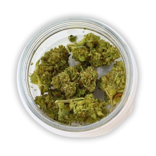 Roasted Garlic Margy (Indica) Indoor THCa Flower (3.5g) Simple Garden