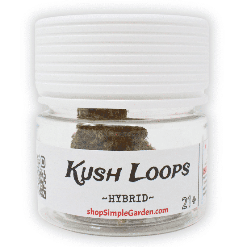 Kush Loops (Hybrid) Indoor CBD Flower (3.5g) Simple Garden