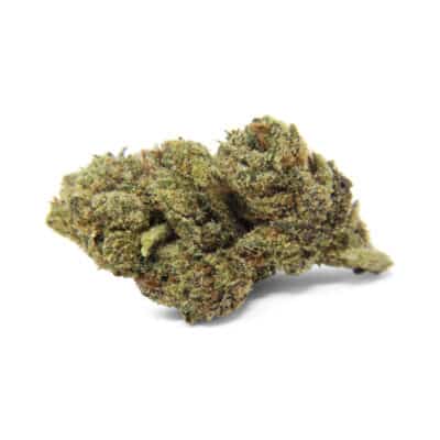 Gumbo (Indica) - Indoor THCa Flower (3.5g)