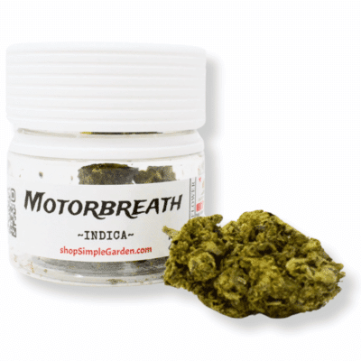 Motorbreath (Indica) - Indoor THCa Flower (3.5g)
