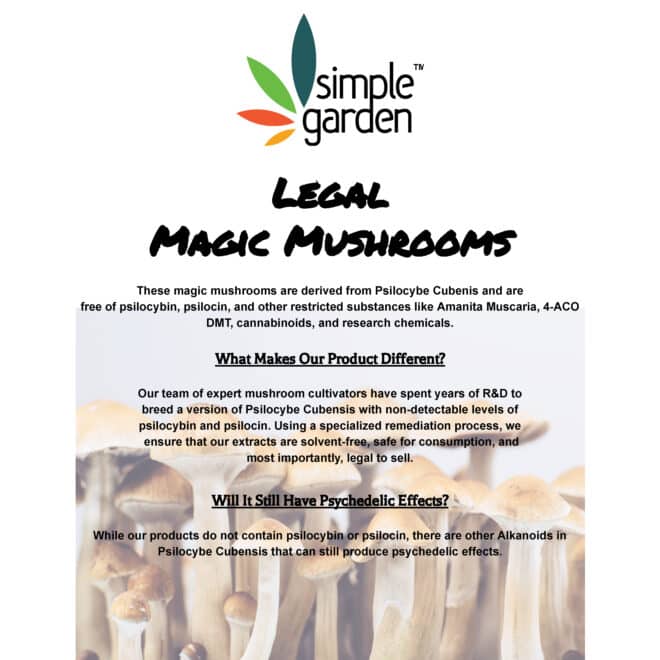 3500mg Magic Mushroom (Fruit) - Image 6