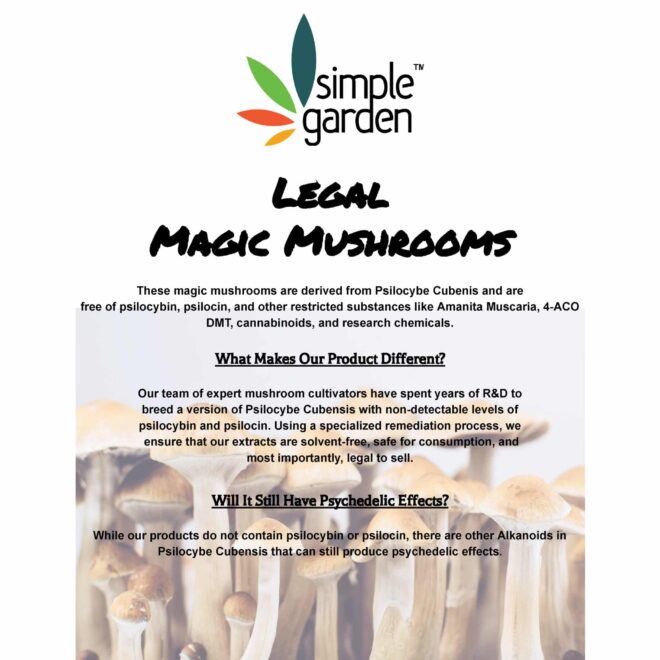 3500mg Magic Mushroom (Fruit) - Image 6