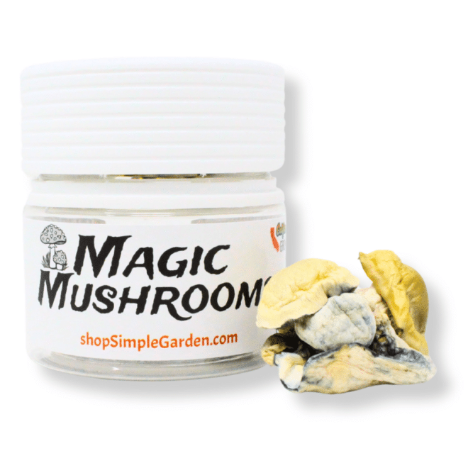 3500mg Magic Mushroom (Fruit)