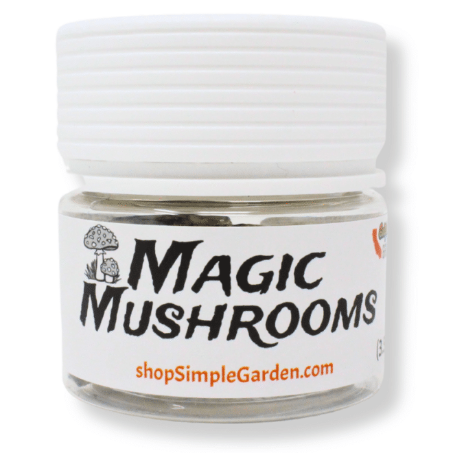 3500mg Magic Mushroom (Fruit) - Image 4