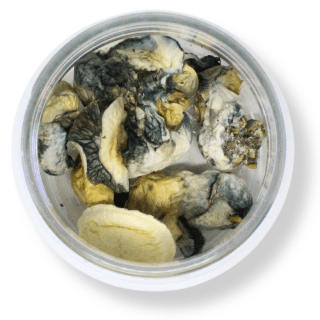 3500mg Magic Mushroom (Fruit) - Image 2