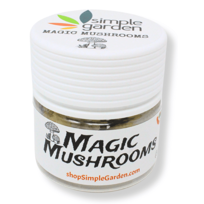 3500mg Magic Mushroom (Fruit) - Image 5