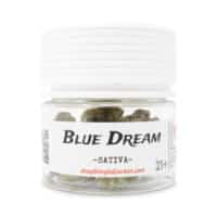Blue Dream (Sativa) - Indoor THCa Flower (3.5g) - Simple Garden