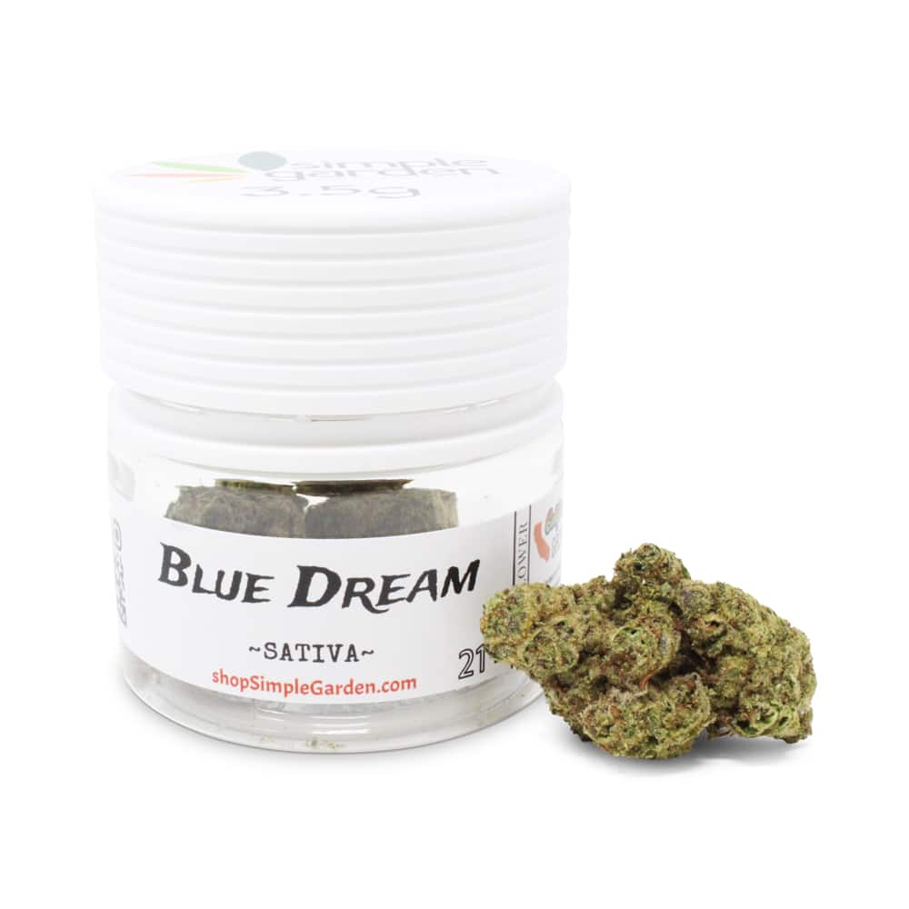 Blue Dream (Sativa) - Indoor THCa Flower (3.5g) - Image 2