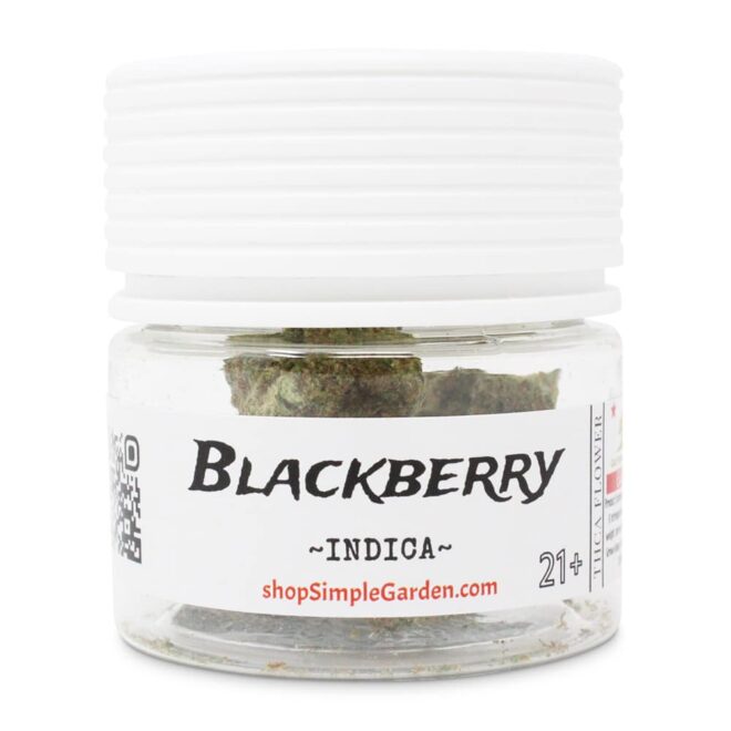 Blackberry (Indica) - Indoor THCa Flower (3.5g) - Image 4