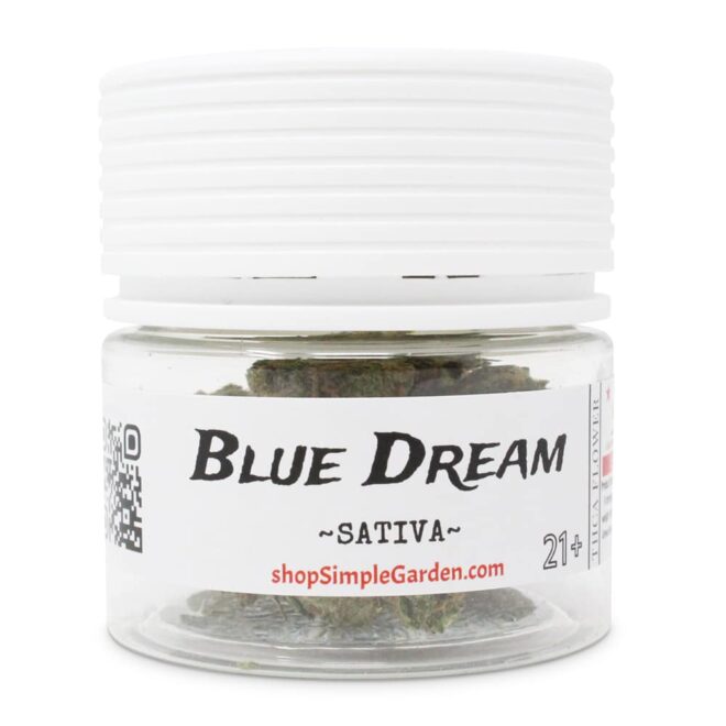 Blue Dream (Sativa) - Indoor THCa Flower (3.5g) - Image 4