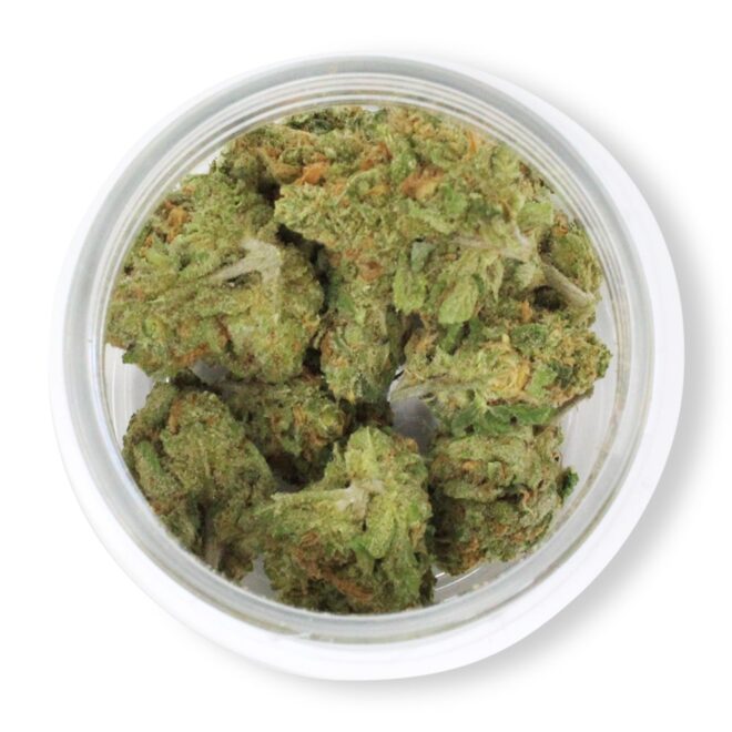 Blue Dream (Sativa) - Indoor THCa Flower (3.5g) - Image 3