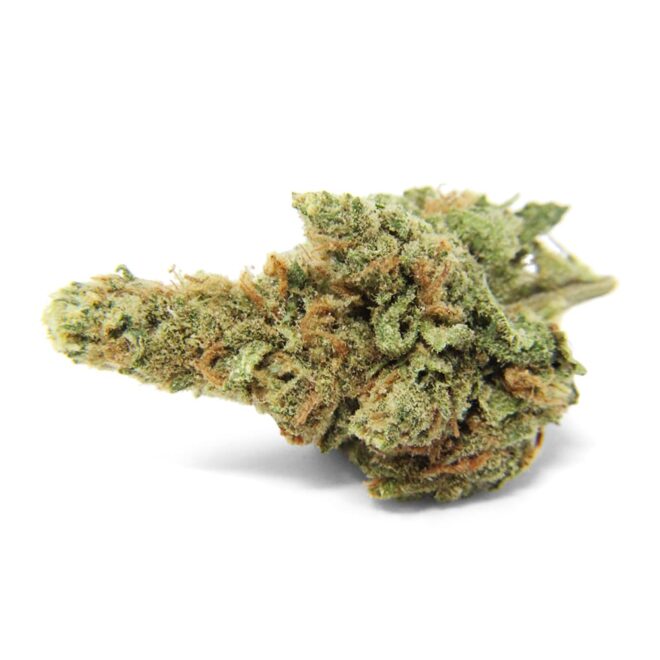 Blue Dream (Sativa) - Indoor THCa Flower (3.5g) - Image 2