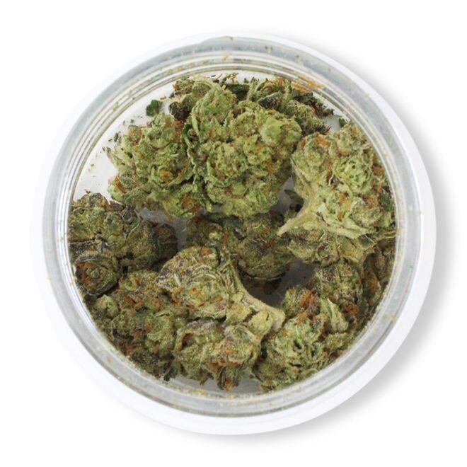 Chi-Chi (Sativa) - Indoor THCa Flower (3.5g) - Image 3