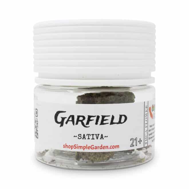 Garfield (Sativa) - Indoor THCa Flower (3.5g) - Image 5