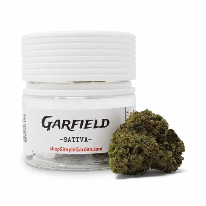 Garfield (Sativa) - Indoor THCa Flower (3.5g)