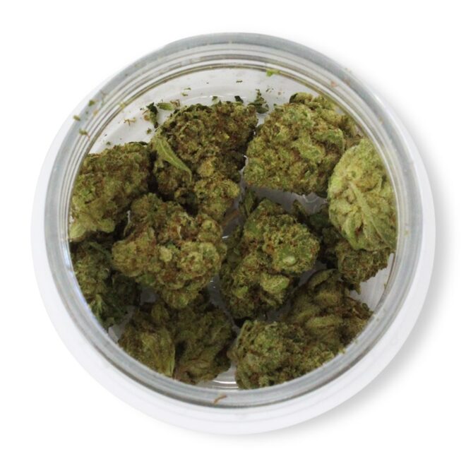 Gorilla Glue (Indica) - Indoor THCa Flower (3.5g) - Image 3