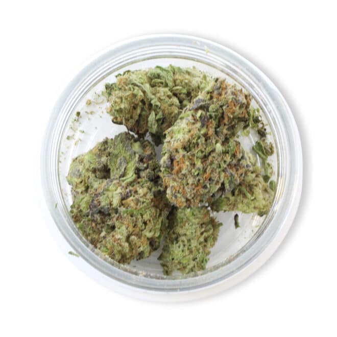 Gush Mintz (Indica) - Indoor THCa Flower (3.5g) - Image 3