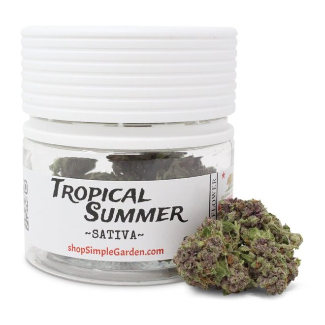 Tropical Summer (Sativa) - Indoor THCa Flower (3.5g)