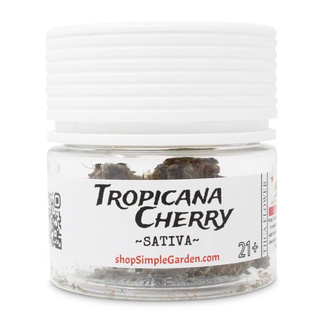 Tropicana Cherry (Sativa) - Indoor THCa Flower (3.5g) - Image 4