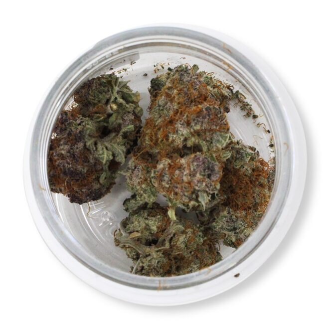 Tropicana Cherry (Sativa) - Indoor THCa Flower (3.5g) - Image 3