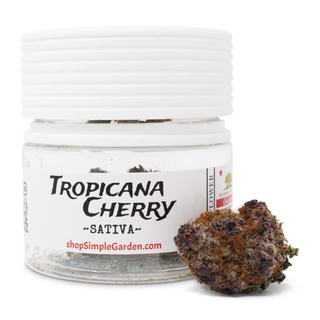 Tropicana Cherry (Sativa) - Indoor THCa Flower (3.5g)