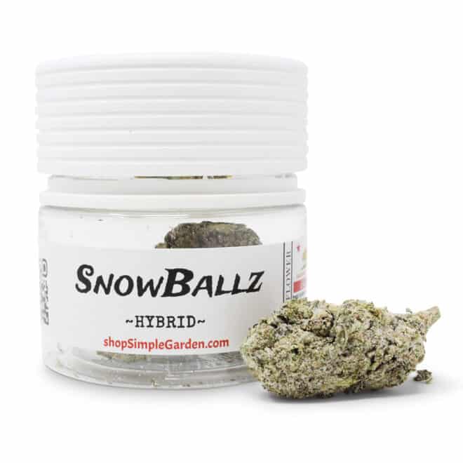 SnowBallz (Hybrid) - Indoor THCa Flower (3.5g)