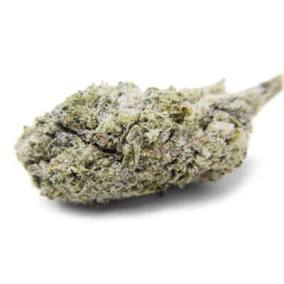 SnowBallz (Hybrid) - Indoor THCa Flower (3.5g)