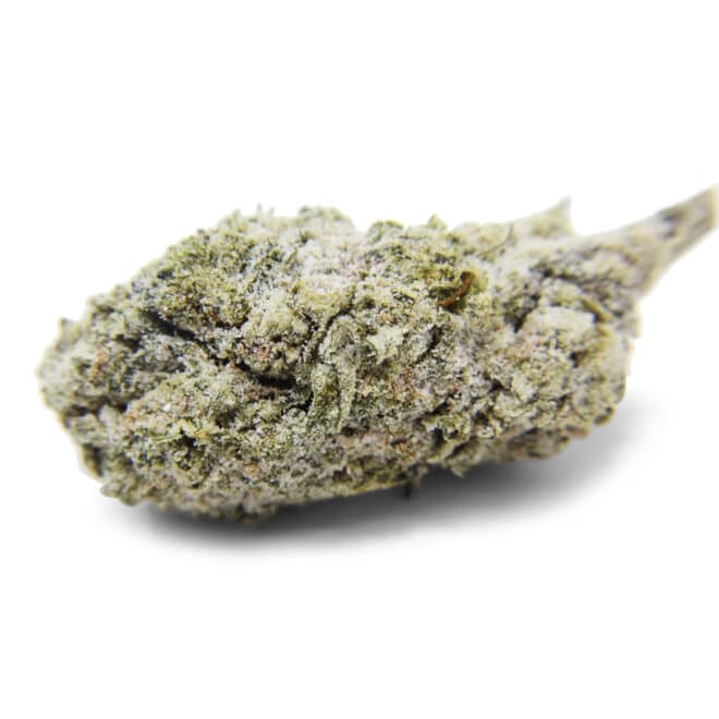 SnowBallz (Hybrid) - Indoor THCa Flower (3.5g) - Image 4