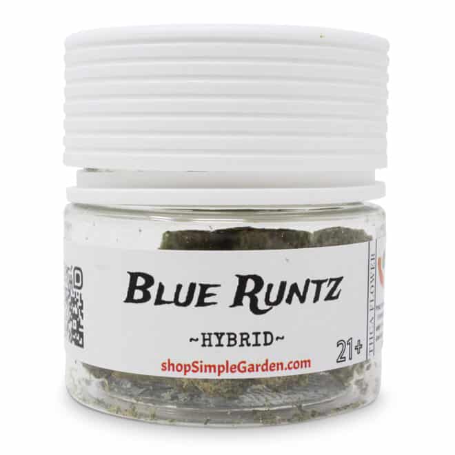 Blue Runtz (Hybrid) - Indoor THCa Flower (3.5g) - Image 3
