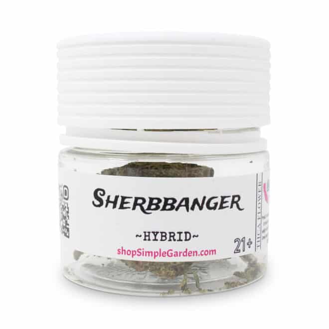 Sherbanger (Hybrid) - Indoor THCa Flower (3.5g) - Image 3