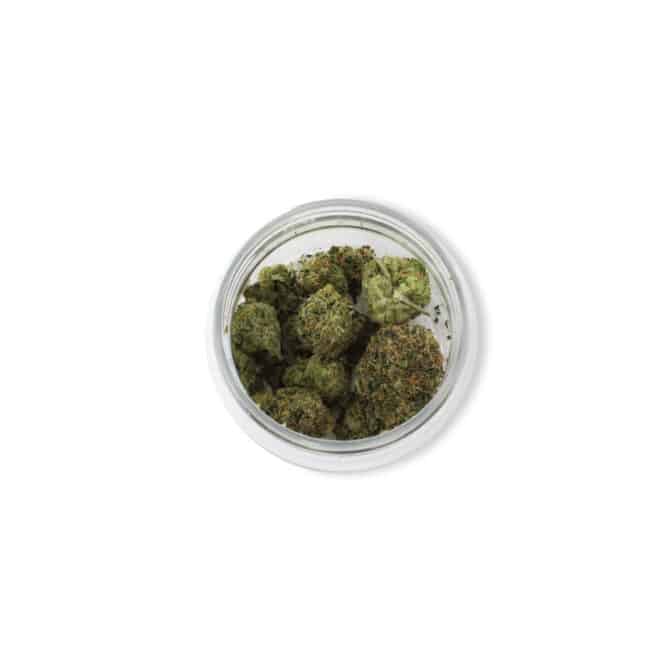 Dip N Stix (Sativa) - Indoor THCa Flower (3.5g) - Image 4