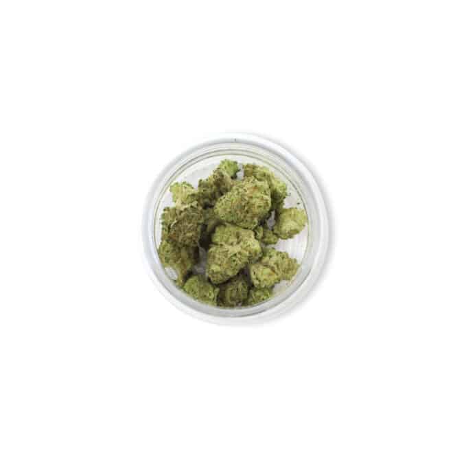 Garlotti Runtz (Hybrid) - Indoor THCa Flower (3.5g) - Image 4
