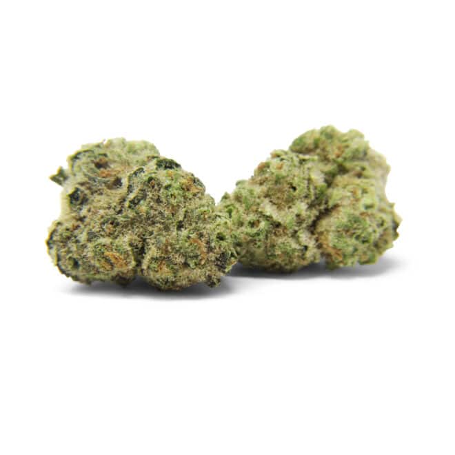 Garlotti Runtz (Hybrid) - Indoor THCa Flower (3.5g)