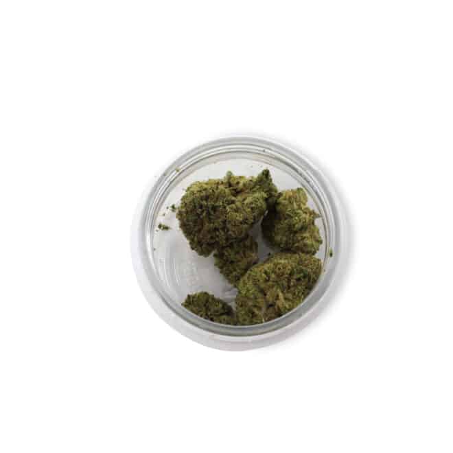 Sherblato (Hybrid) - Indoor THCa Flower (3.5g) - Image 4
