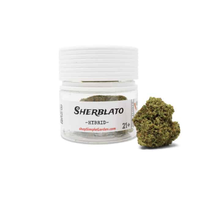 Sherblato (Hybrid) - Indoor THCa Flower (3.5g) - Image 3