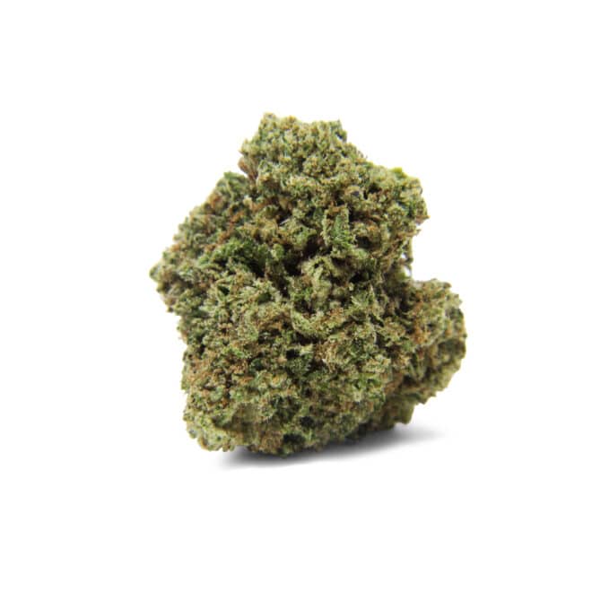 Sherblato (Hybrid) - Indoor THCa Flower (3.5g)