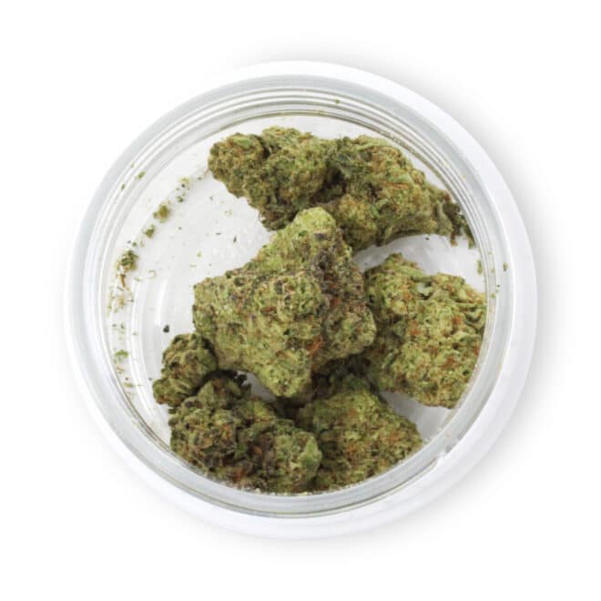 Pineapple Express (Sativa) - Indoor THCa Flower (3.5g) - Image 4