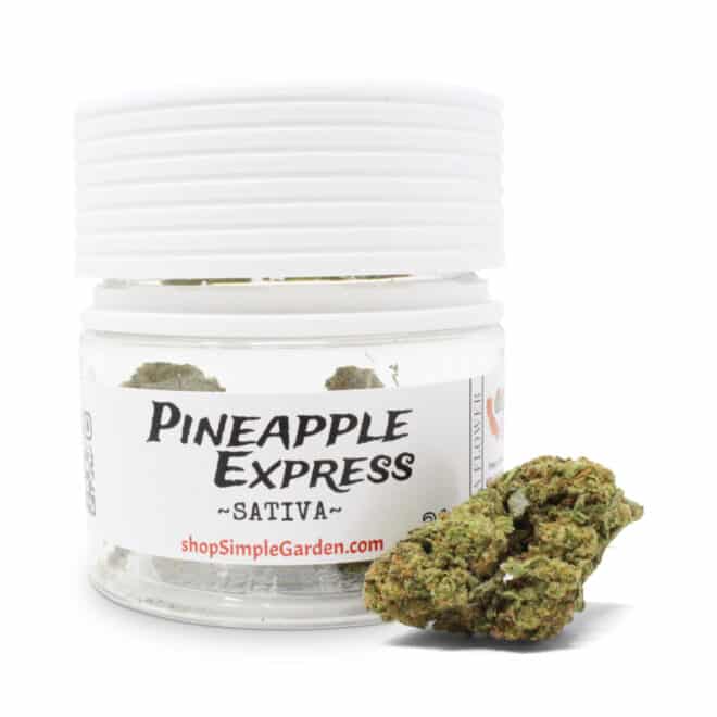 Pineapple Express (Sativa) - Indoor THCa Flower (3.5g)