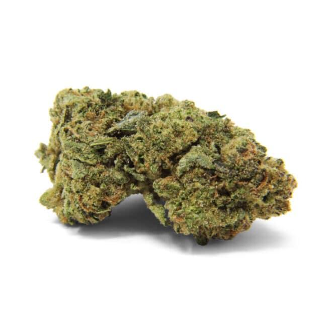 Pineapple Express (Sativa) - Indoor THCa Flower (3.5g) - Image 3