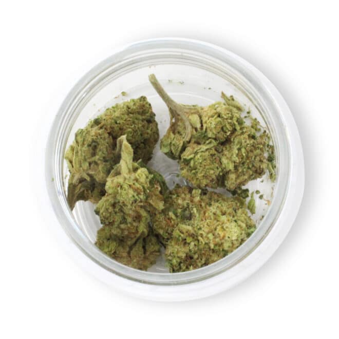 Carbon Fiber (Hybrid) - Indoor THCa Flower (3.5g) - Image 3