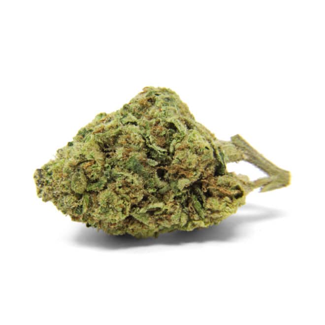Carbon Fiber (Hybrid) - Indoor THCa Flower (3.5g) - Image 2