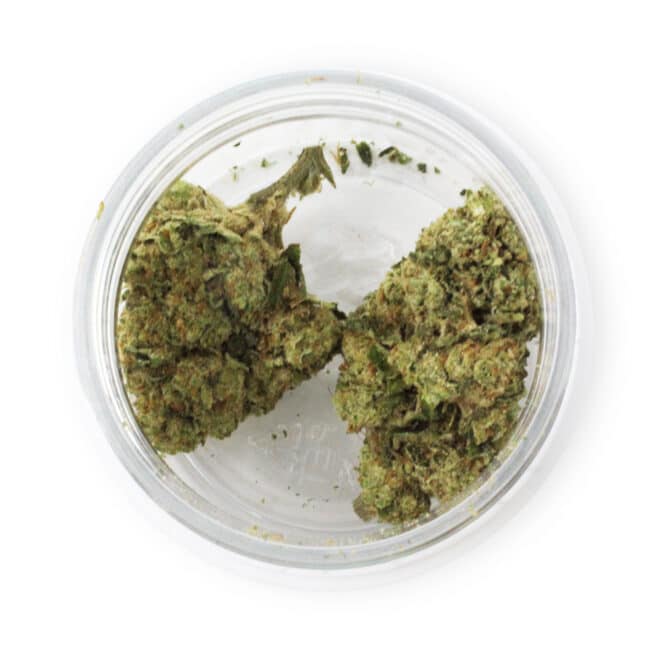 Swiss Indica (Indica) - Indoor THCa Flower (3.5g) - Image 3