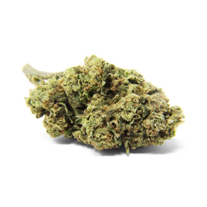 Swiss Indica (Indica) - Indoor THCa Flower (3.5g) - Image 4