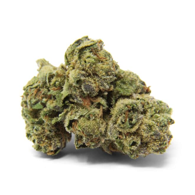 White Runtz (Hybrid) - Indoor THCa Flower (3.5g) - Image 3