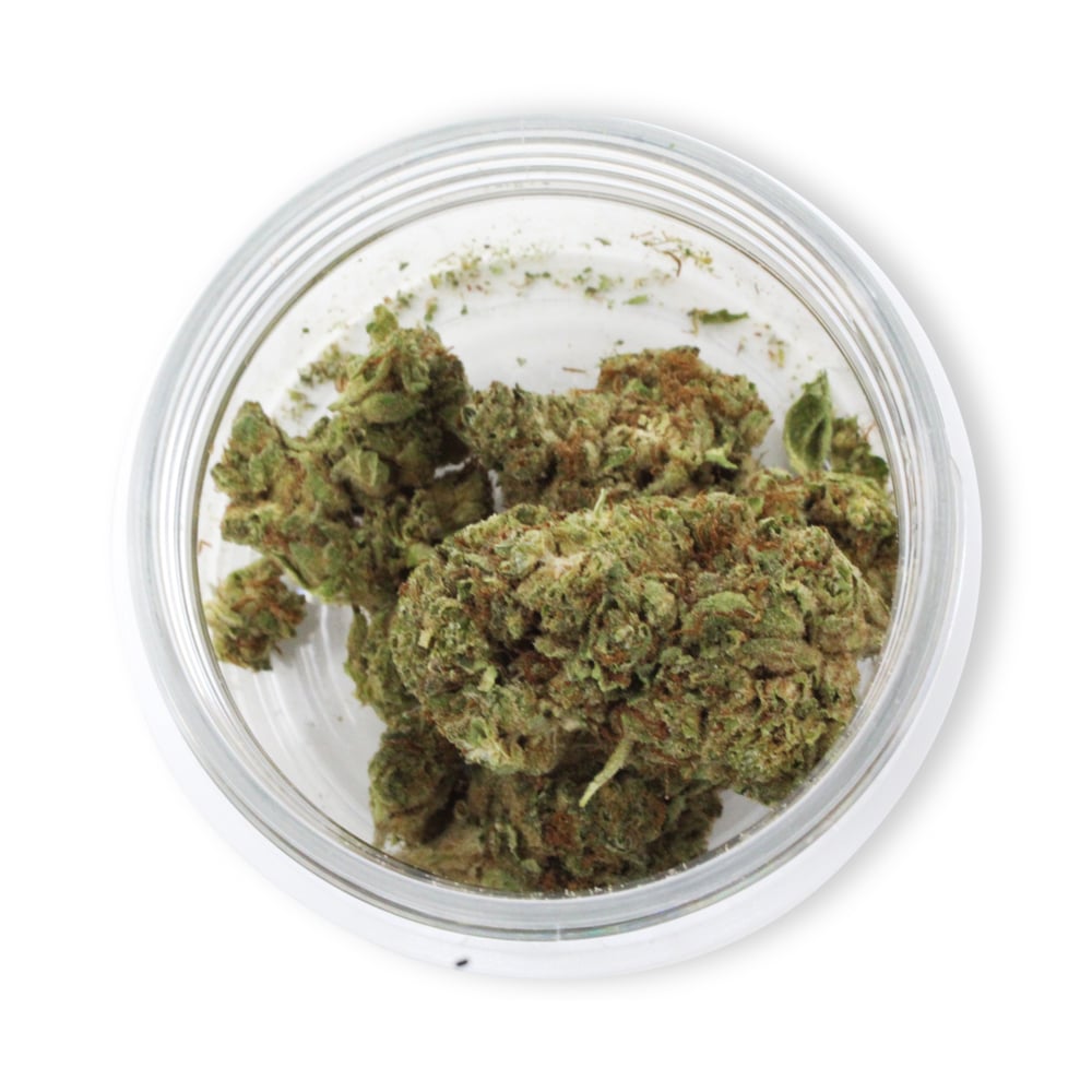 Frosty Gelato (Sativa) - Indoor THCa Flower (3.5g) - Image 3