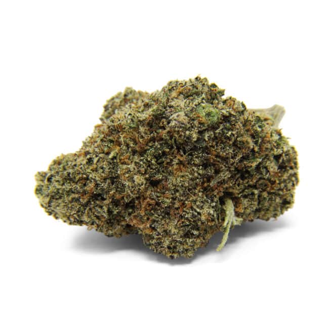 Gelato 45 (Hybrid) - Indoor THCa Flower (3.5g) - Image 5