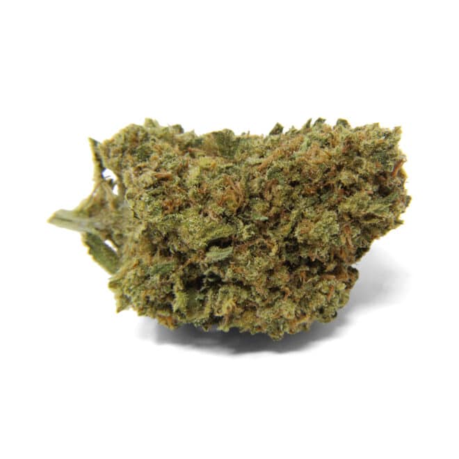 Horchata (Hybrid) - Indoor THCa Flower (3.5g) - Image 3