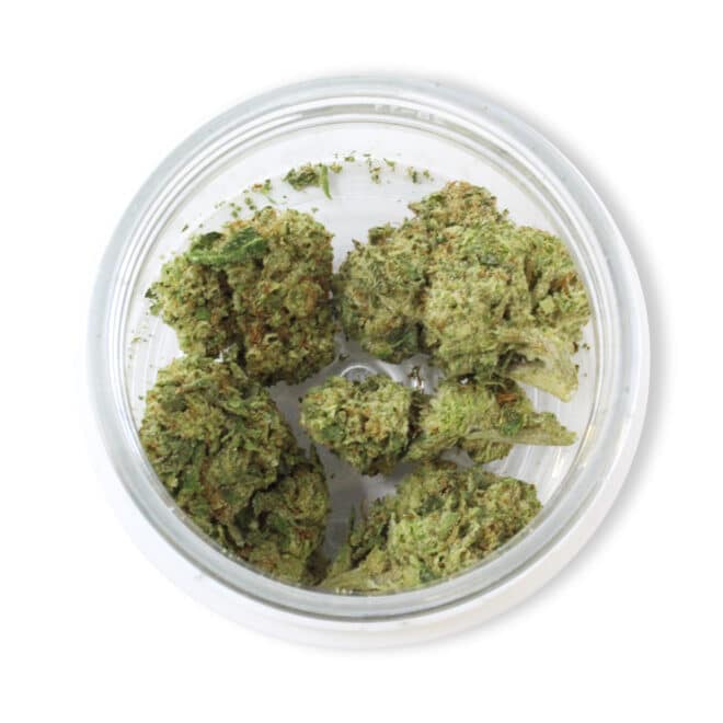 Ricky Bobby (Hybrid) - Indoor THCa Flower (3.5g) - Image 5